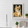 Perle De Chien - Rond Diamant Peinture40X50CM
