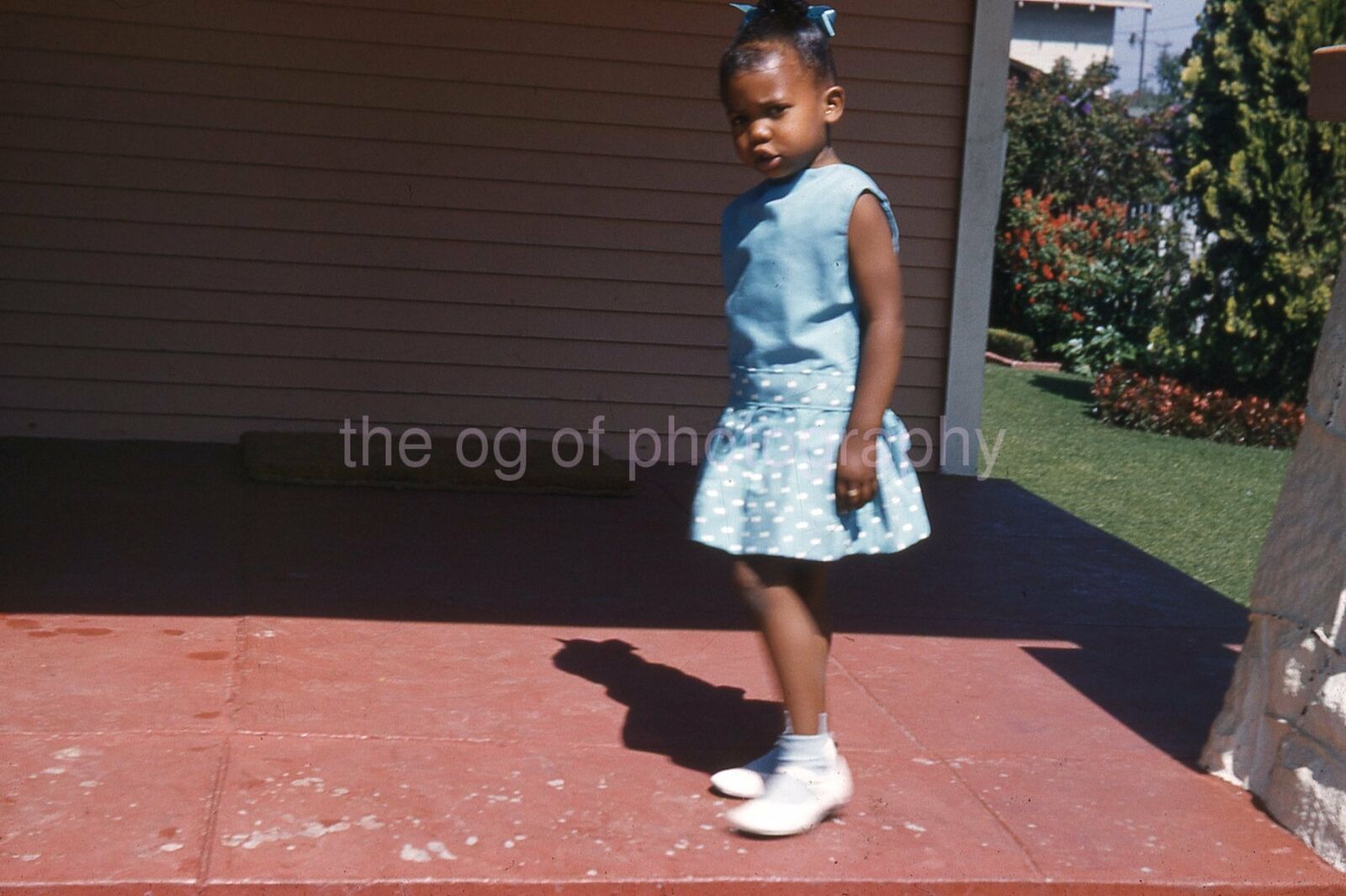 YOUNG AMERICAN GIRL Vintage 35mm FOUND SLIDE Transparency Photo Poster painting 07 T 2 R