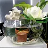 Fishing Cat Ornament Mini Cat Figurine Home Car Interior Decoration (7Pcs)