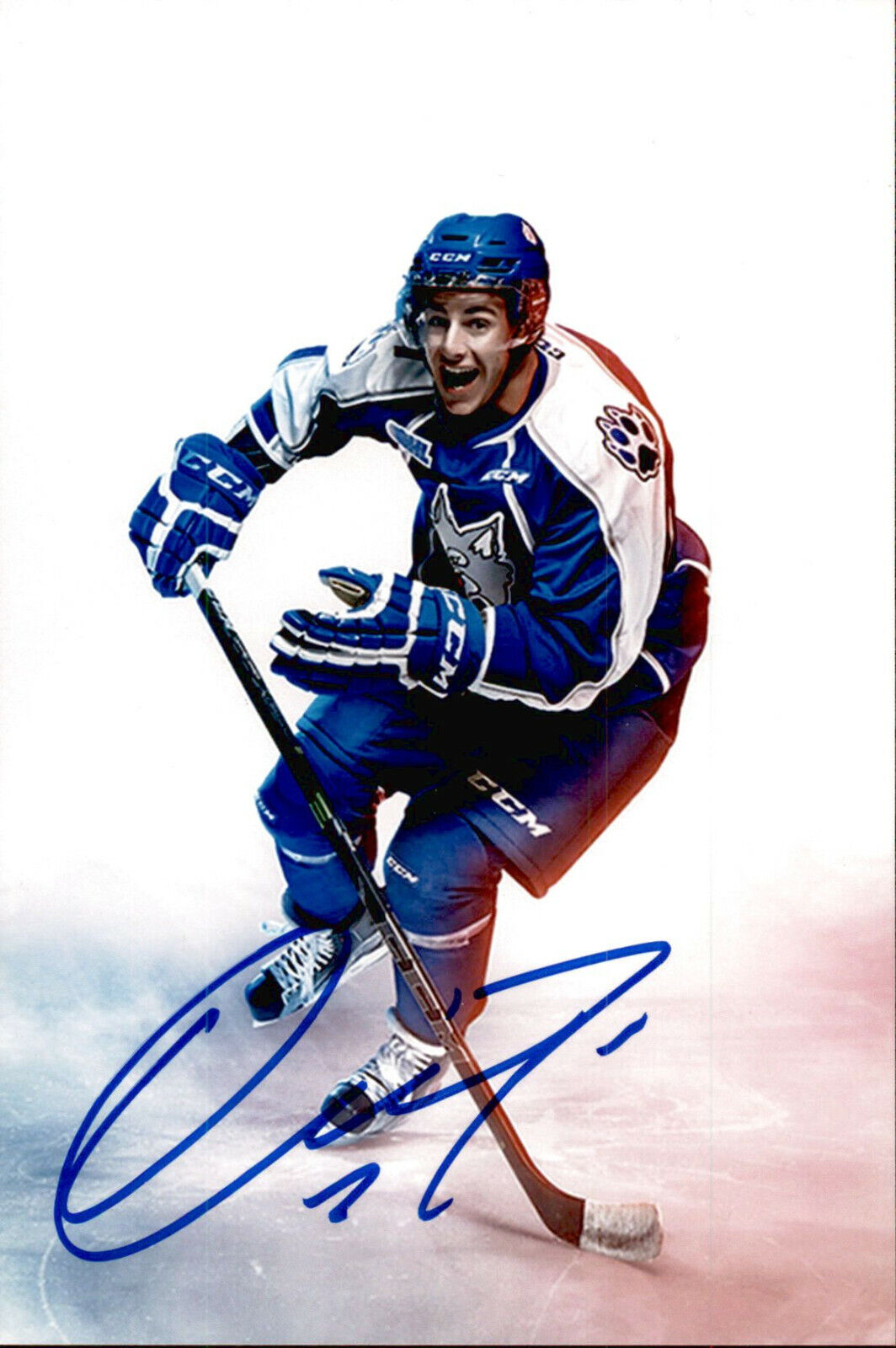 David Levin SIGNED 4x6 Photo Poster painting SUDBURY WOLVES / NHL DRAFT 2018 #3