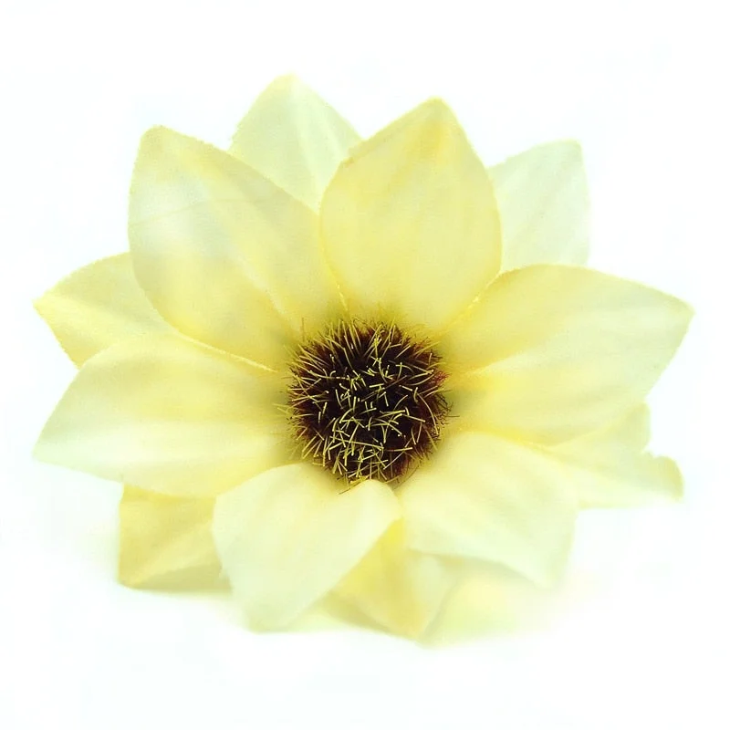 30pcs  Cheap 5.5cm Mini Gerbera Artificial Rose Rose Flower Head  Wedding Decoration DIY Wreath Accessories Craft Fake Flowers