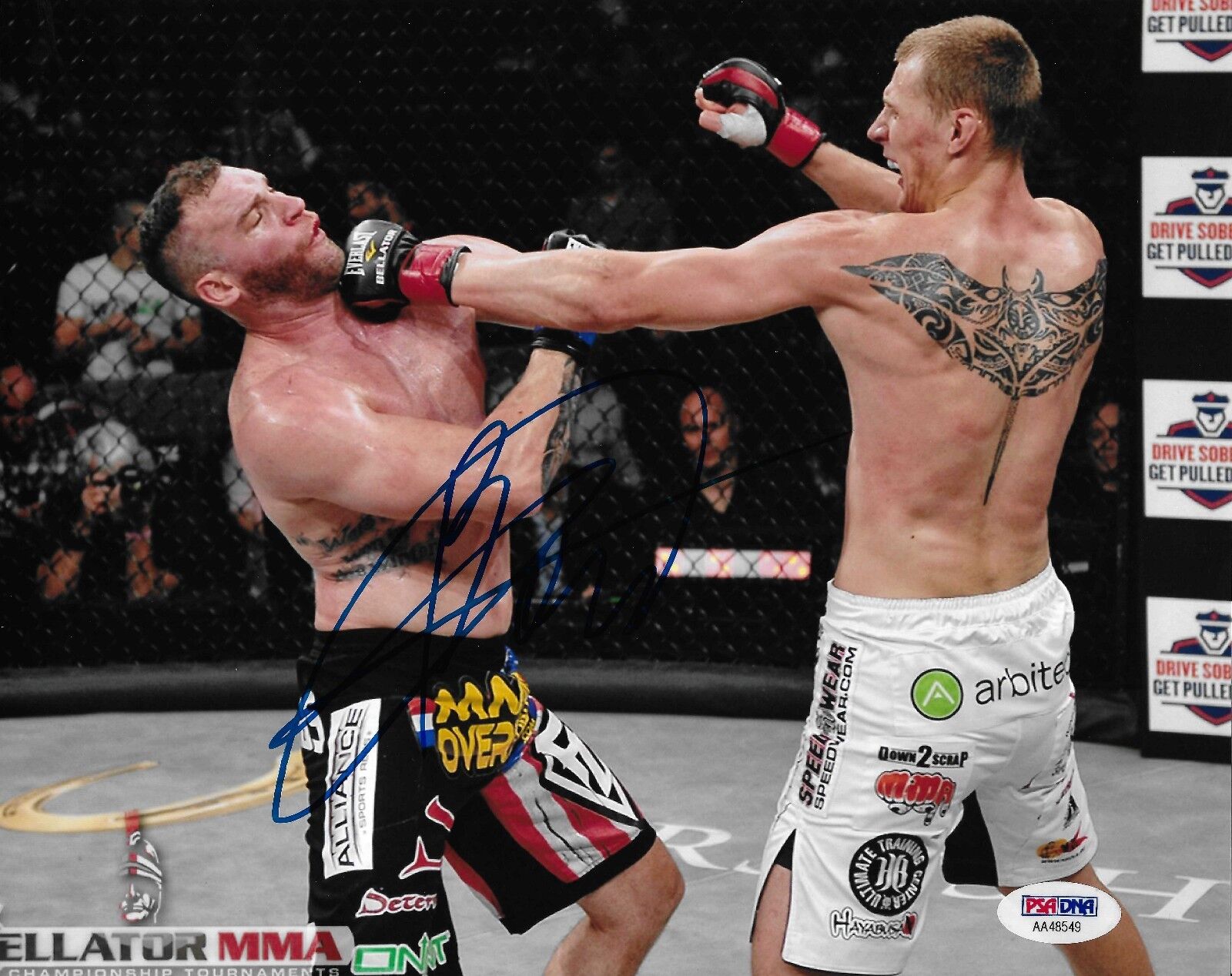 Alexander Volkov Signed Bellator MMA 8x10 Photo Poster painting PSA/DNA COA Picture Autograph 1