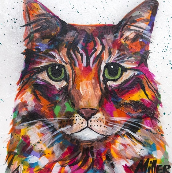 

Colorful Tabby Cat – Paint By Numbers - 40*50CM, 501 Original