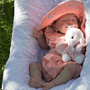Babiesprincess Lifelike Reborn Baby Doll, Babiesprincess