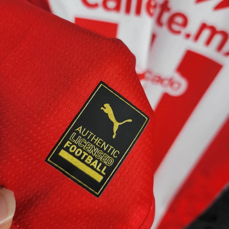 24/25 Chivas Home Home Football Shirt Thai Quality