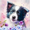Border Collie Dog-11CT Stamped Cross Stitch 40*40cm