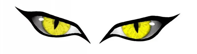 Car modification rearview mirror beast eye sticker