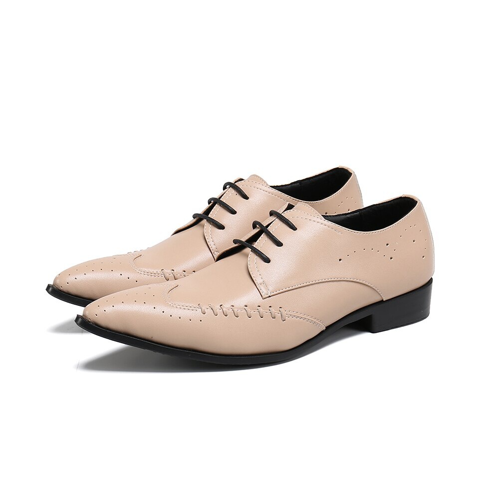 GOOSHOE Men's Pointed Toe Leather Shoes Plus Size Lace Up Oxfords Shoes Men Formal Flats Shoes