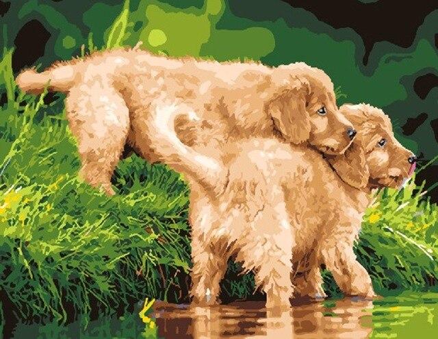

Puppies In The River – Paint By Numbers - 40*50CM, 501 Original
