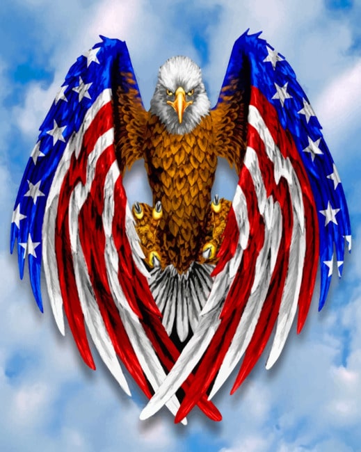 

Eagle American Flag – Paint By Numbers - 40*50CM, 501 Original