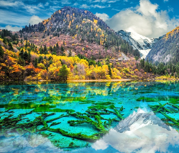 virtual trip CHINA 九寨溝 JIU ZHAI GOU [Blu 🏞 九寨沟，美得像仙境✨ Jiuzhaigou, a fairyland on earth