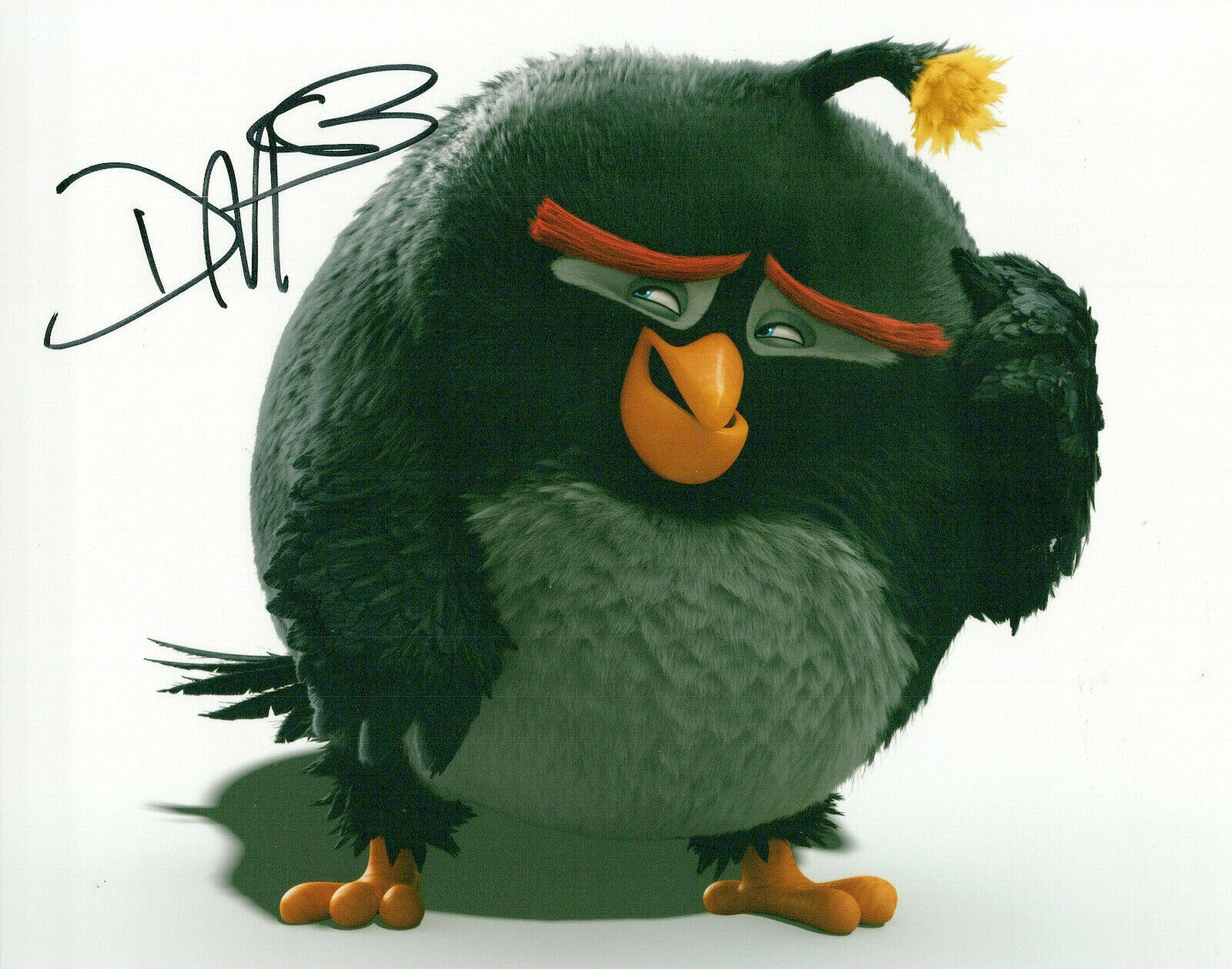 Danny McBride The Angry Birds Movie autographed Photo Poster painting signed 8X10 #2 Bomb