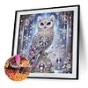 DIY Partial Special Shaped Drill Diamond Painting-Owl