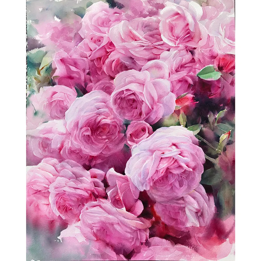 DIY Paint By Number 40*50cm - Garden Rose