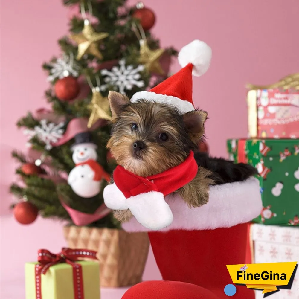 610PCS Dog Santa Hat Cute Birthday Party Cone Christmas Pet Costumes for Puppy Kitten