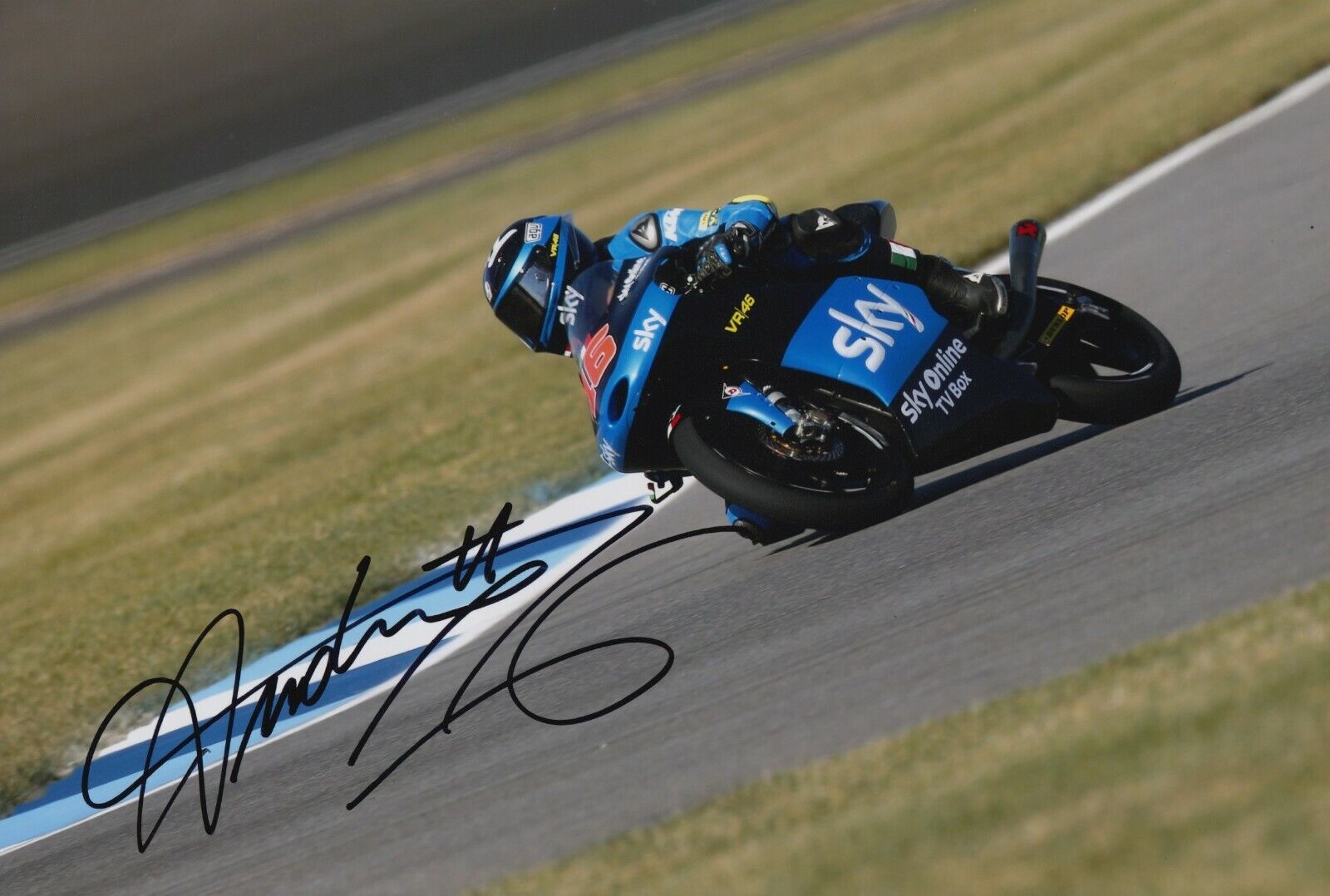 Andrea Migno Hand Signed 12x8 Photo Poster painting - SKY Racing Team VR46 Moto3 - MotoGP 9.