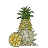 Pineapple Gnome -  11CT Partial Beaded Cross Stitch Kit(25x35cm)