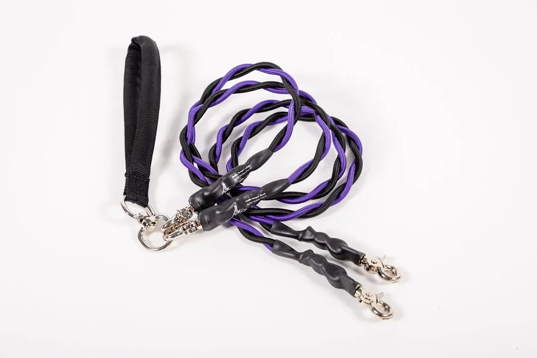🔥Last Day: 50% OFF!🔥🐕Double Bungee Leash - 1st step training tool