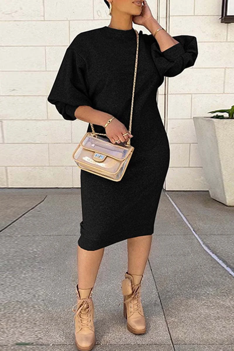 Casual Solid Basic O Neck Long Sleeve Dresses