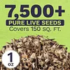 7,500 Fresh Pollinated Non-GMO Species Wildflower Seeds Package