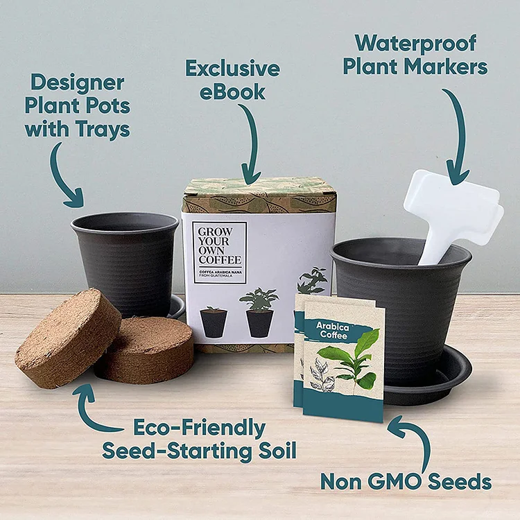 Gardening Planting Coffee Seeds Flower Pot Kit Grow Your Own Coffee