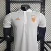 2024/2025 Player Version Italy Special Edition Football Shirt 1:1 Thai Quality