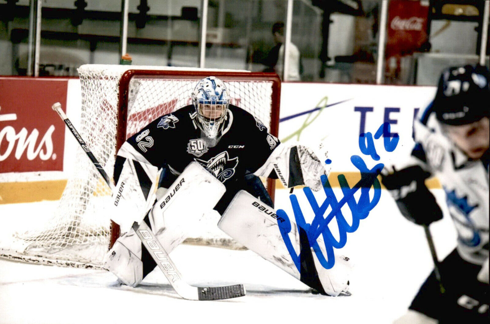 Colten Ellis SIGNED 4x6 Photo Poster painting RIMOUSKI OCEANIC / ST LOUIS BLUES #4