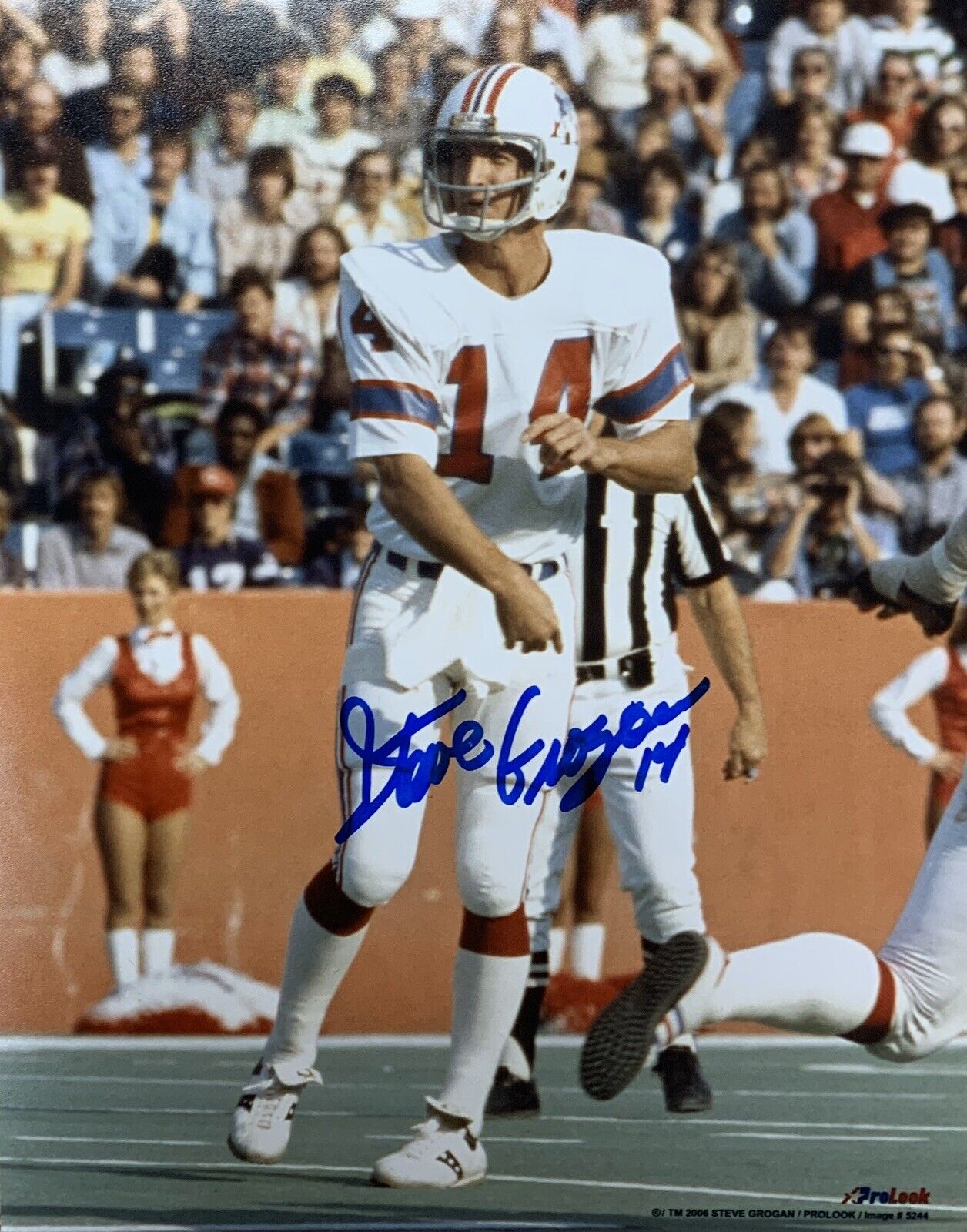 Steve Grogan New England Patriots Quarterback Autographed 8x10 Pose #5