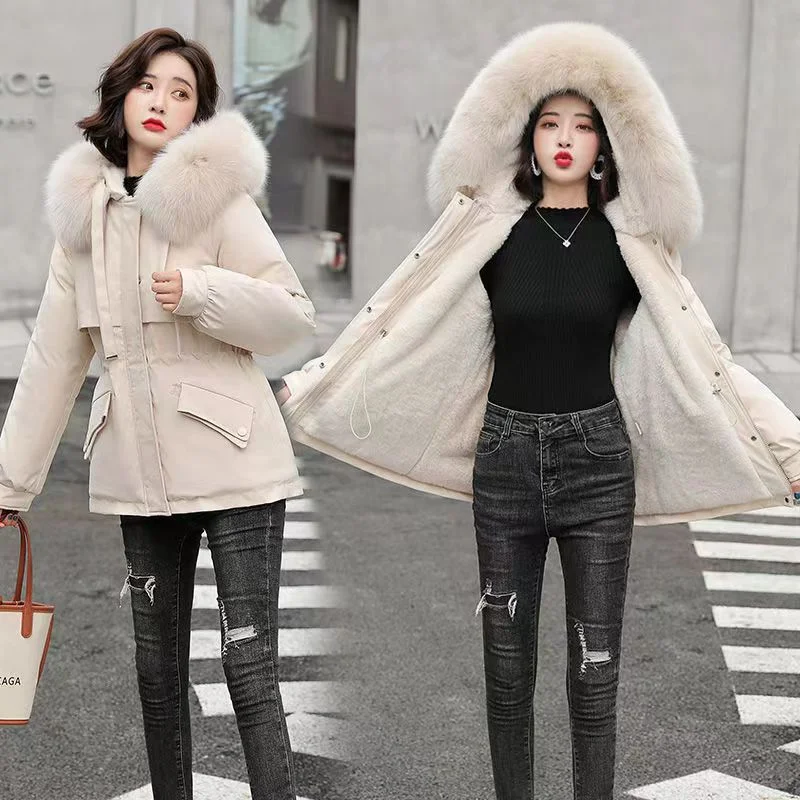 Toloer Winter 2023 New Women's Down Padded Clothes Cotton Clothes Women's Winter-Outfit Ideas