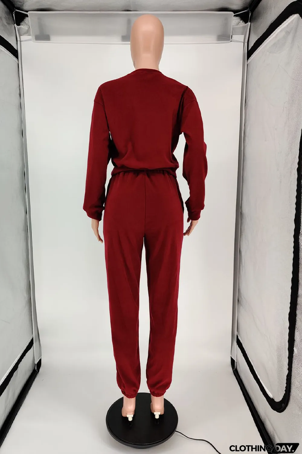 Blue Casual Solid Long Sleeve Two Pieces