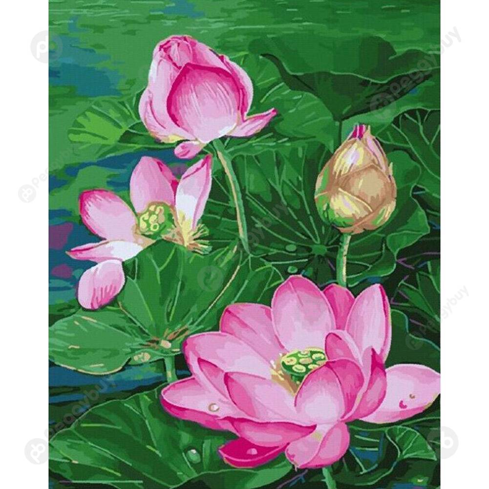 

40*50CM Paint By Numbers-Lotus Pond, 501 Original