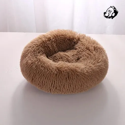 Calming Bed