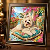 Seaside Maltese Special Shaped 5D DIY Partial Drill Diamond Painting Kits for Adults Beginners Home Decor Diamond Dots Paintings Diamond Art Kit 11.81 x11.81inch