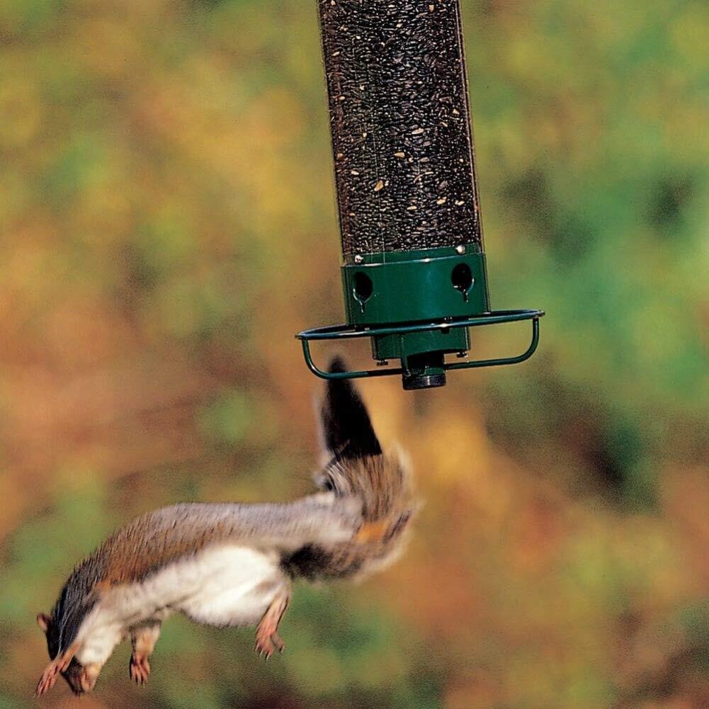 Compre Alimentador de Pájaros Colgantes a Prueba de Ardilla de Alta Dureza  Alimentador de Pájaros de Metal Con 4 Puertos de Alimentación Para el Patio  de Jardín Exterior en China