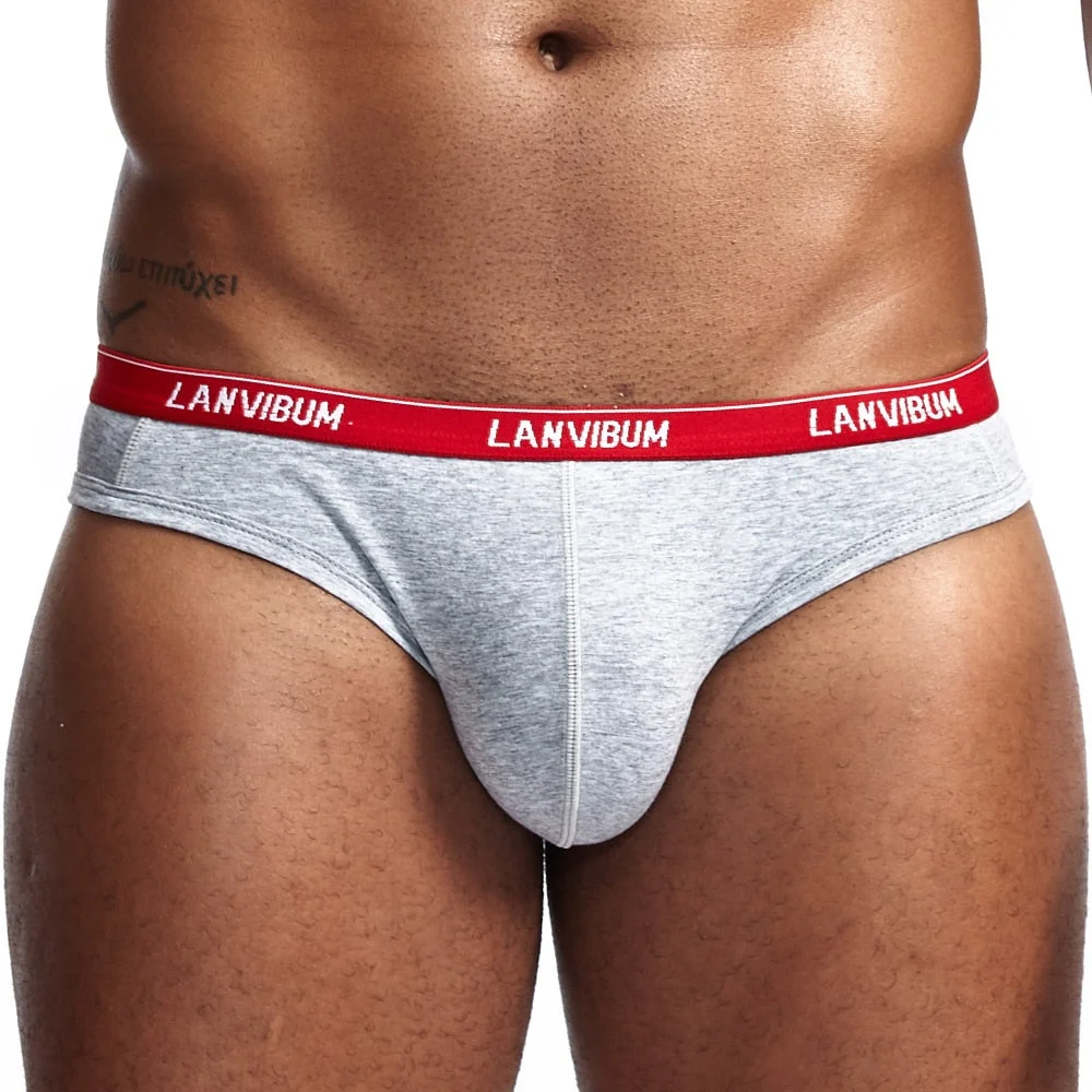 Aonga Men Underwear Solid Convex For Men Comfortable Underpants Cotton Sport Briefs Man Soft Male Shorts