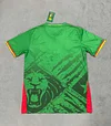 2025 Cameroon Home Football Shirt 1:1 Thai Quality