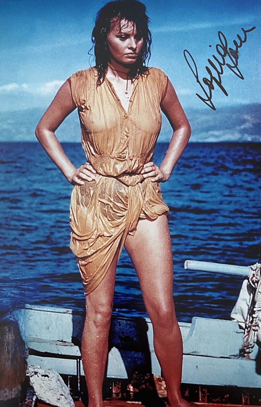 Sophia Loren Genuine Hand Signed 10x8 Photo Poster painting 2