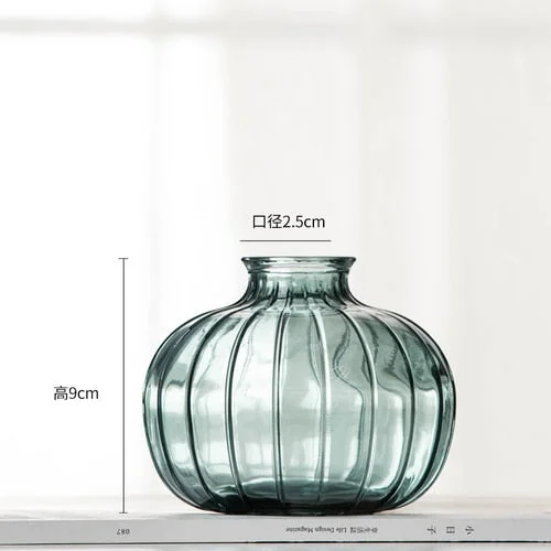 Mini Glass Vase For Decoration Small Living Room Decor Aesthetic Modern Transparent Hydroponic Flower Vase Home Decoration
