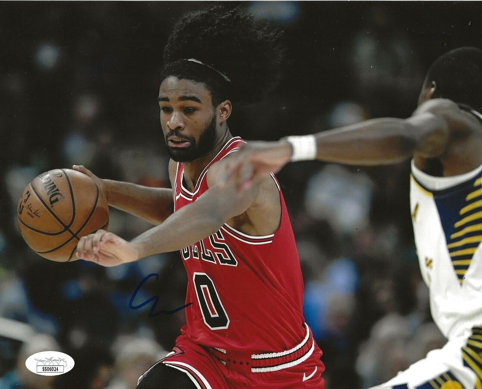 Coby White signed Chicago Bulls 8x10 Photo Poster painting autographed 9 JSA