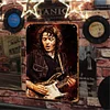 Rory Gallagher - Vintage Metal Signs - 20*30cm/30*40cm - Music