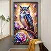 (40*70cm)Owl - Full Round Drill Diamond Painting