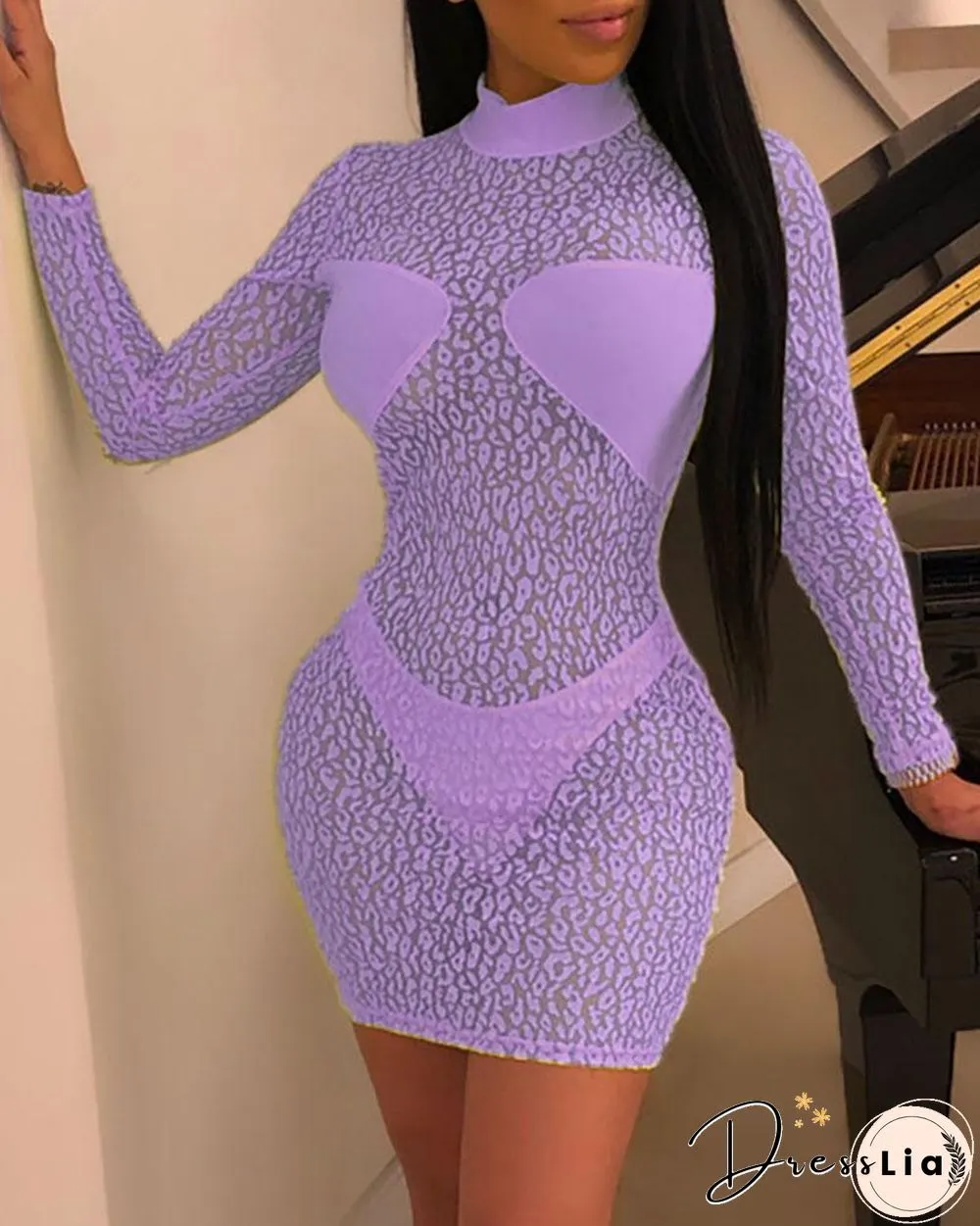 Sheer Leopard Print Bodycon Dress