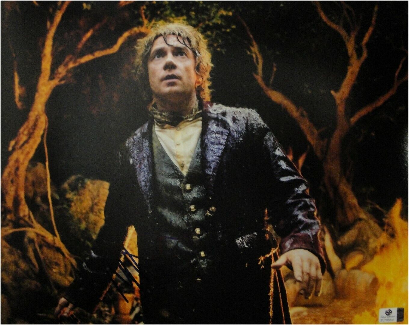 Martin man hand Signed Autographed 11x14 Photo Poster painting The Hobbit Bilbo JSA U16400