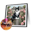 Diamond Painting-DIY Full Round Drill Country Cat