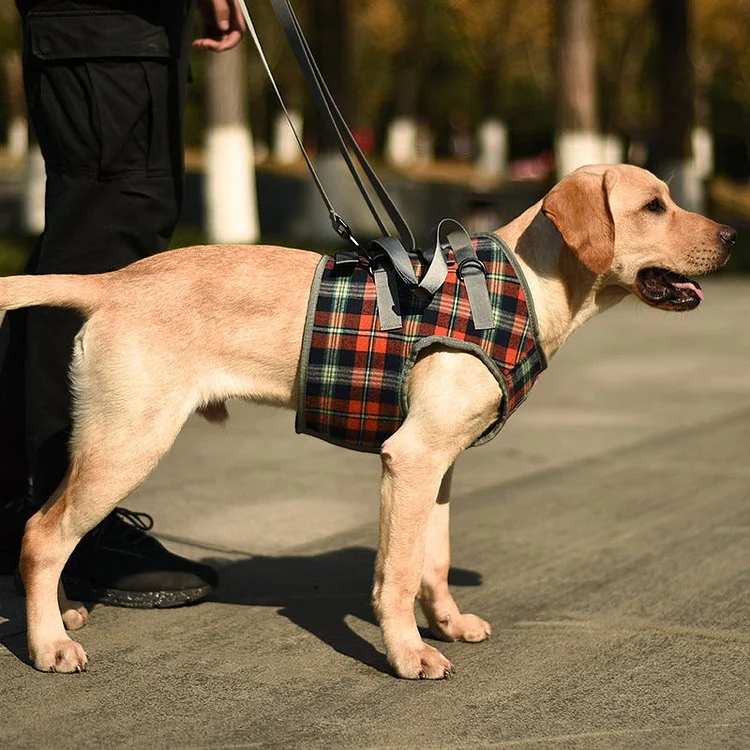 Dog Support Harness Front and Back Legs For Small Medium Large Dogs