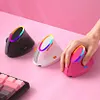 BOW Ergonomic Tri-Mode Vertical Mouse