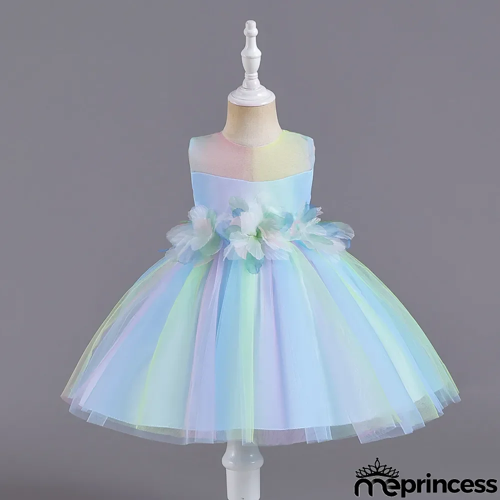 Infant and Toddler Dresses Floral Dress Multi-Color Mesh Pouf Princess Dress