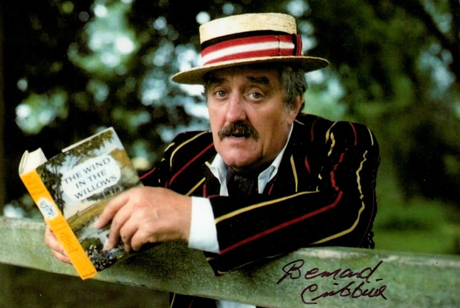 Bernard Cribbins Signed 6x4 Photo Poster painting Jackanory Wombles Doctor Who Autograph + COA