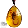 Insect Amber Pendant Natural Butterfly Specimen Insect Amber Necklace Children's Hanging Accessories