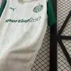 25/26 Palmeiras Soccer Jersey Away
